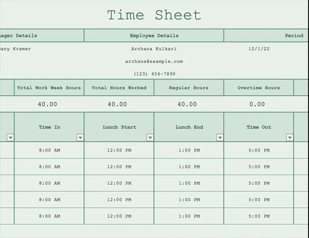 Preview of the Timesheet Worksheet Excel template